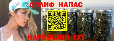 крисы Гусев