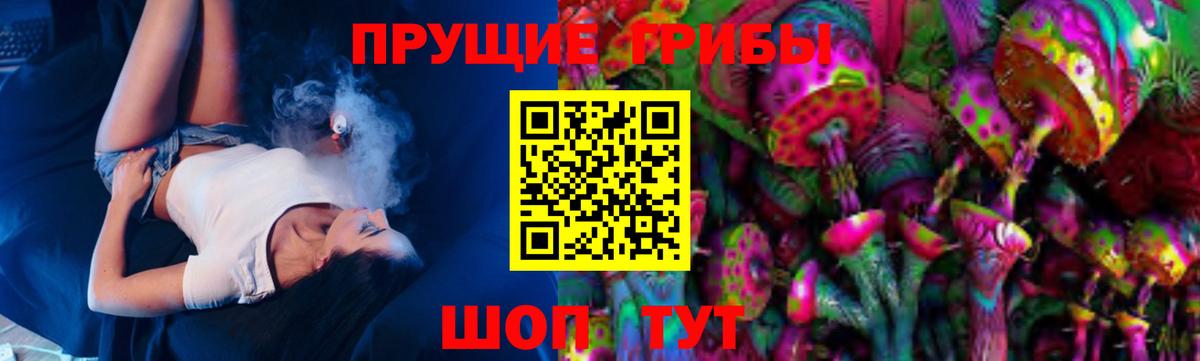 Галлюциногенные грибы MAGIC MUSHROOMS  Вход с VPN  Балашов 